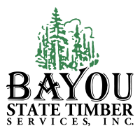 Bayou state oil corp