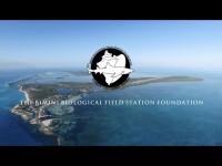 Bimini biological field station foundation
