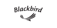 Blackbird guitars