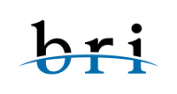 Black river industries inc.
