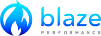 Blaze metrics llc