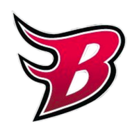 Boston blazers