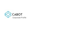 Cabot technology solutions inc