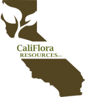Califlora resources llc
