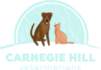 Carnegie hill veterinarians