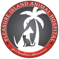 Carolina beach animal hospital
