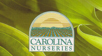 Carolina nurseries
