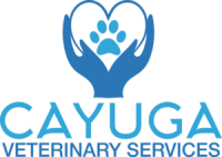 Cayuga veterinary services