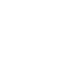 City first enterprises