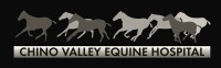 Chino valley equine hospital