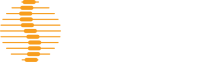 International chiropractors association