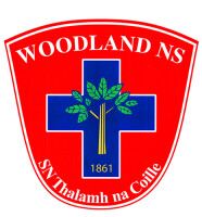 Country woodland school
