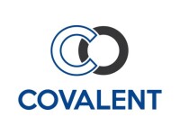 Covalent networks
