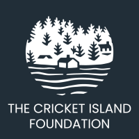 Cricket island foundation