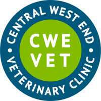 Central west end veterinary clinic