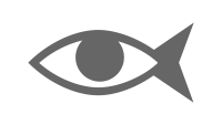 Dexigner