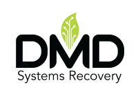 Dmd data systems inc.