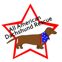 Dachshund rescue of north america