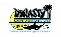 Dynasty marine associates inc