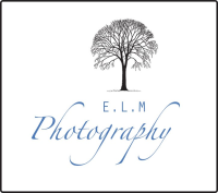 Elm photography