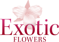 Exotic flowers in boston