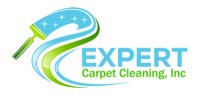 Expert clean inc