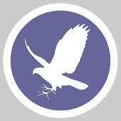 Falcontail responsive web design