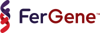 Fergene