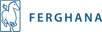Ferghana partners