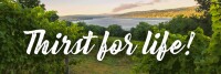 Finger lakes wine country tourism marketing association
