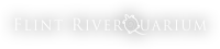 Flint riverquarium