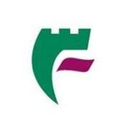 Flintshire county council