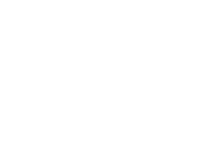 Flyte hcm