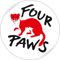 Four paws only