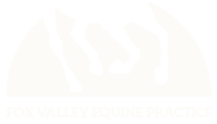 Fox valley equine practice