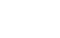 Free flite bicycles