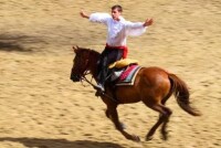 Théatre Equestre de Montillot