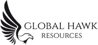 Global hawk resources llc