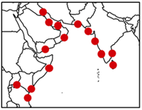 Global feeder shipping l.l.c