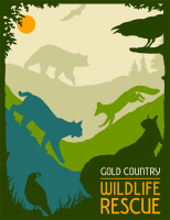 Gold country wildlife rescue