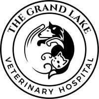 The grand lake veterinary hospital