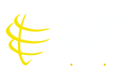 Gfi consulting
