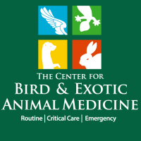 Center for bird and exotic animal medicine