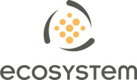 Icosystem