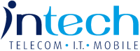 The intech group, inc.