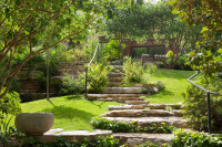 Johnny steele-design inc.