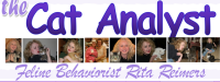 Just for cats pet sitting (aka cats 90210 la cat sitting and charlotte cat sitting)