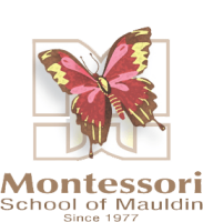 Montessori school of mauldin