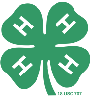 4h