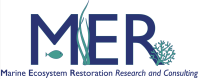 Mer consulting